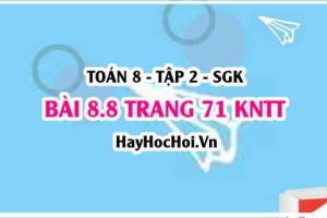 Bài 8.8 trang 71 Toán 8 Tập 2 Kết nối tri thức: Xác suất thực nghiệm của hành động tung kẹp giấy